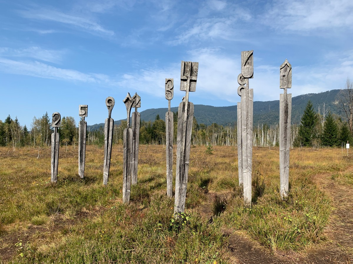 Kühe, Musi, Kunst +&nbsp;Moor