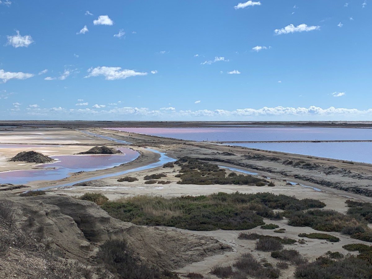 Camargue-ups and downs