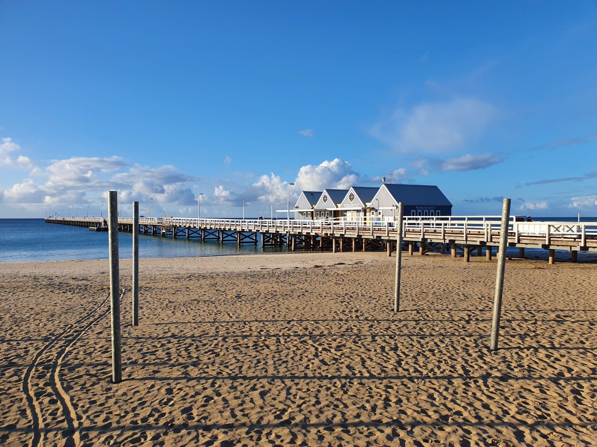 Thromboliten und Kängurus