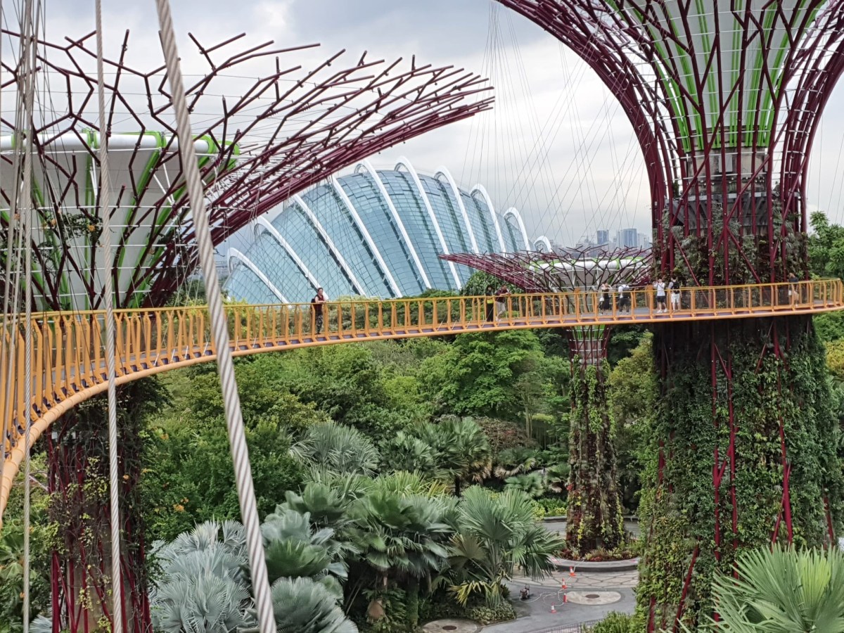 Gardens by the Bay + Marina Bay&nbsp;Sands