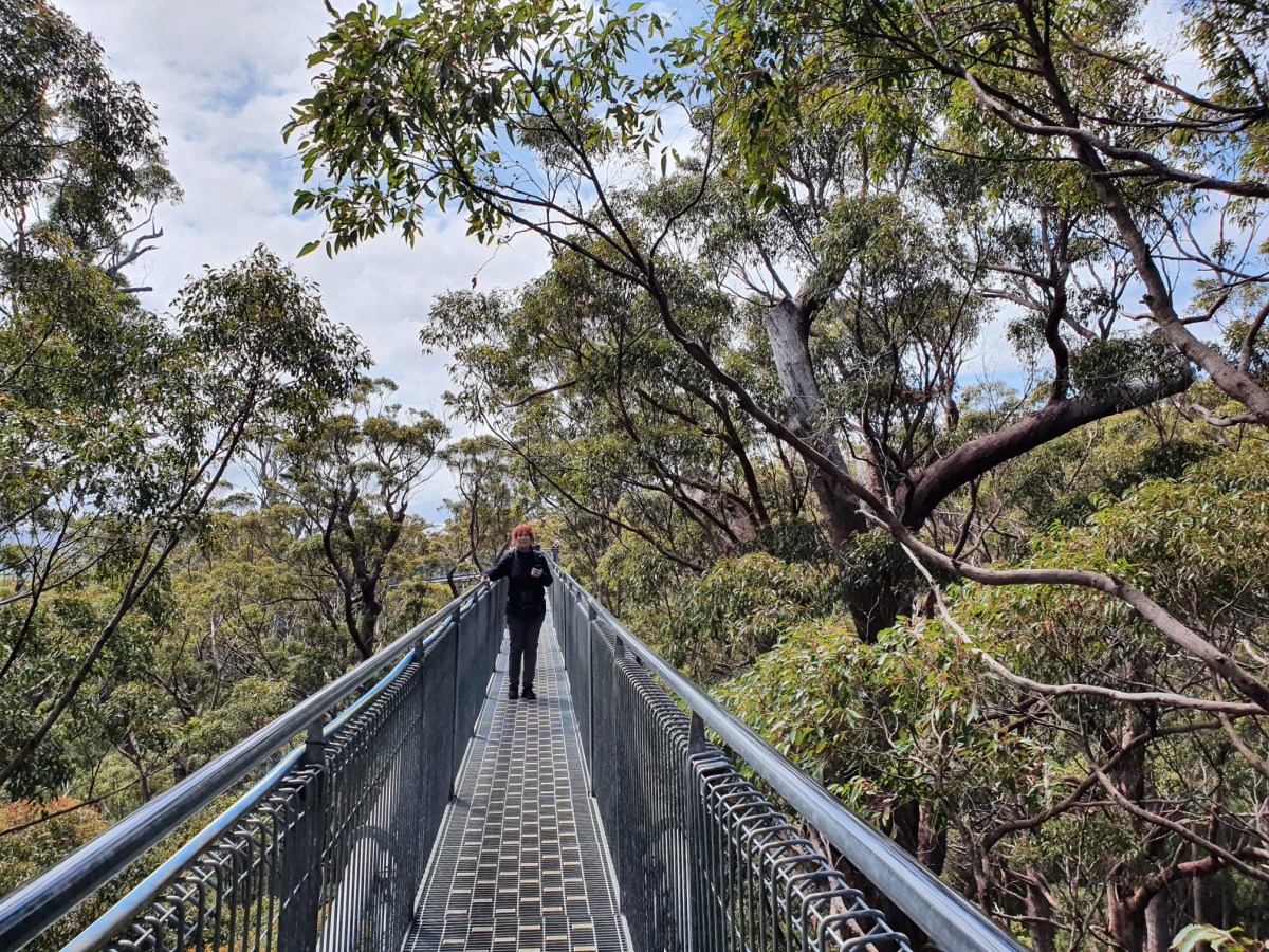 Treetopwalk und Valley of the&nbsp;Giants