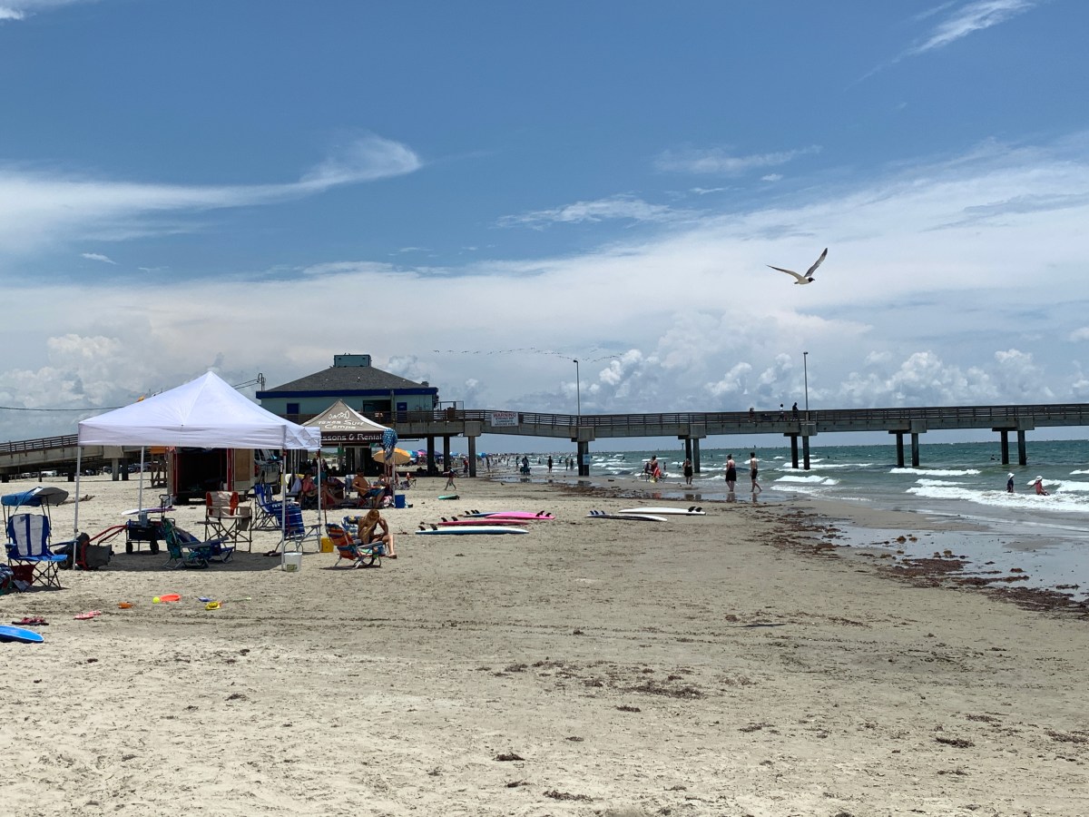 Birds & Beach in Port&nbsp;Aransas